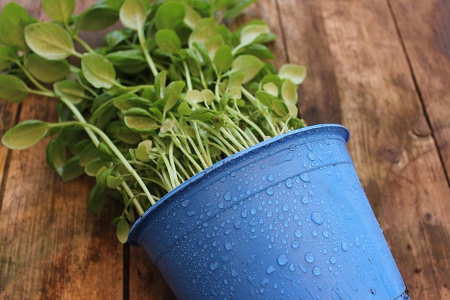 How to Protect Fresh Concrete from Rain